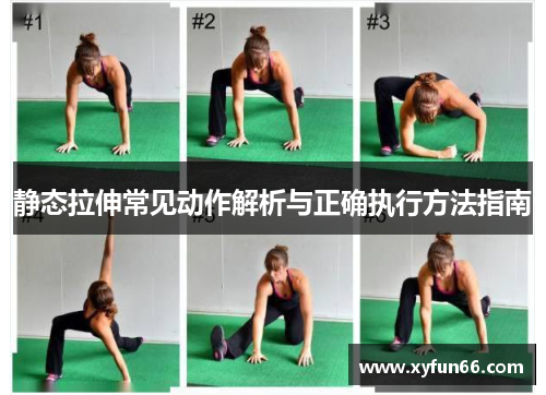 静态拉伸常见动作解析与正确执行方法指南